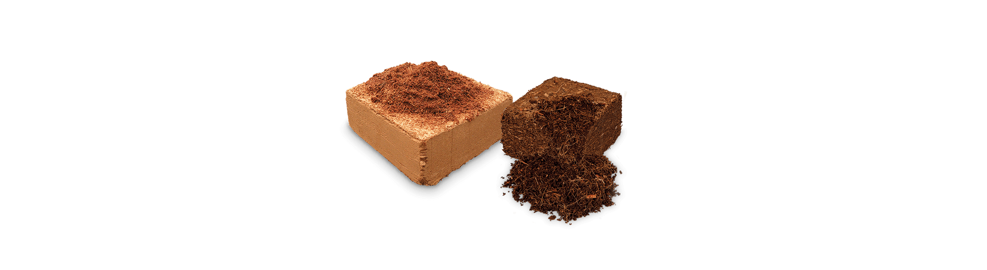 Sustrato para Fresas Dutch Plantin