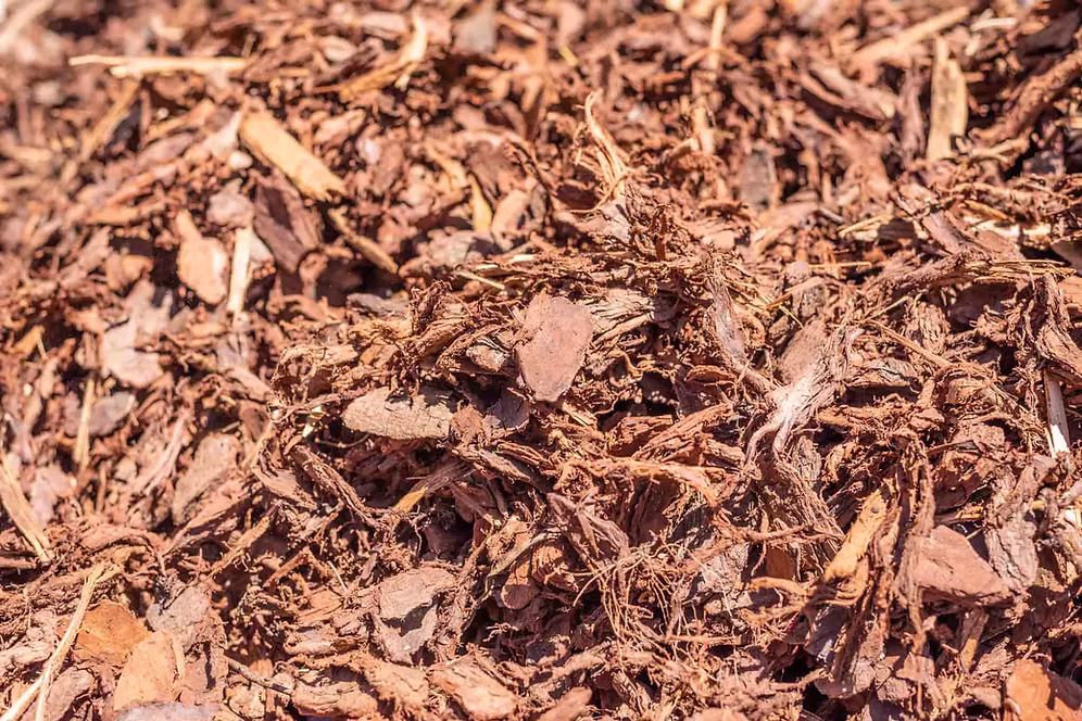 Pine Bark Mulch